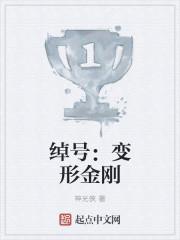 变形金刚叫啥名字