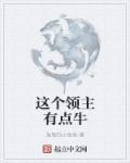 这个领主有点问题TXT