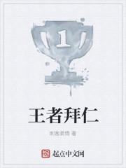 王者拜仁南部之星