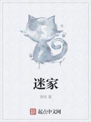 迷家小镇无广告版