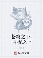 夜之苍穹的含义