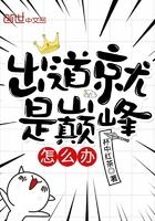 出道即巅峰是贬义词吗