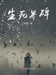 生死界碑完结了吗