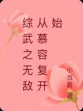 综武之无敌从慕容复开始小当嘉