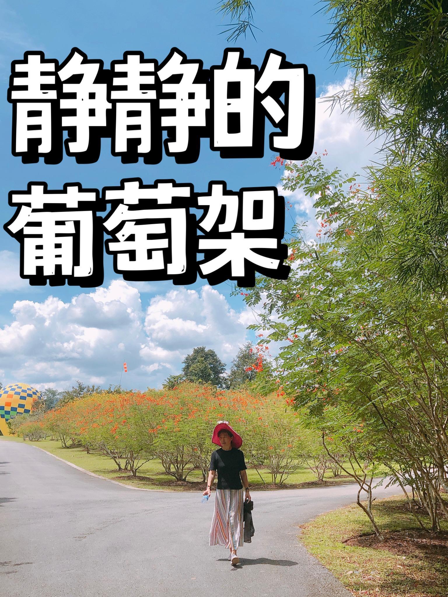 静静的葡萄架 三一奶奶茹