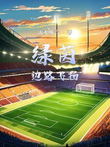 关于足球的系统