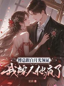 傅总跟白月光领证我嫁人他疯了结局